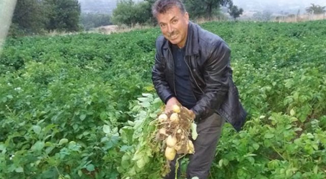 Türkiye'nin ilk beyaz patates hasadı yapılacak Türkiye'nin ilk beyaz patates hasadı yapılacak