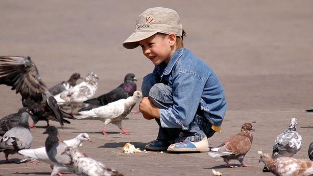Unutkanlık ve dağınıklık dikkat eksikliği habercisi olabilir