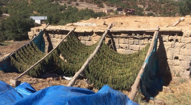 Valilik açıkladı, Diyarbakır'da 5 yon esrar yakalandı Valilik açıkladı, Diyarbakır'da 5 yon esrar yakalandı