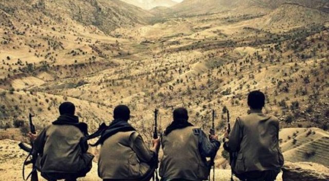 Van'da 2 PKK kuryesi yakalandı Van'da 2 PKK kuryesi yakalandı