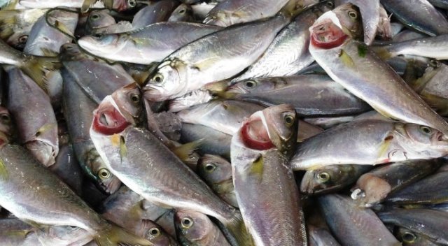 Vatandaşa müjde! Fiyatı 5 liraya düştü Vatandaşa müjde! Fiyatı 5 liraya düştü