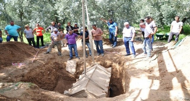 Zeytinlikten lahit fışkırıyor