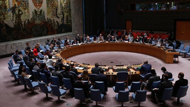 'BMGK daimi üyelerinin veto yetkisi sınırlanmalı'