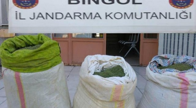 Bingöl'de 52 kilo esrar ele geçirildi Bingöl'de 52 kilo esrar ele geçirildi