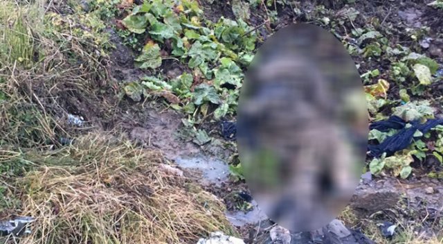 Bitlis’te 4 teröristin cesedi bulundu