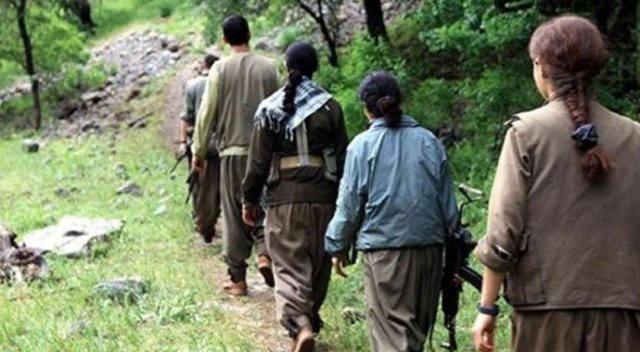 Diyarbakır'da 2 kadın terörist yakalandı Diyarbakır'da 2 kadın terörist yakalandı