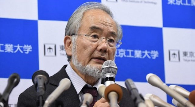Nobel Tıp Ödülü Japonya'ya gitti Nobel Tıp Ödülü Japonya'ya gitti