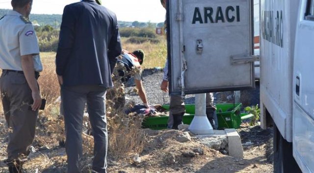 Yol kenarında ölü bulundu Yol kenarında ölü bulundu