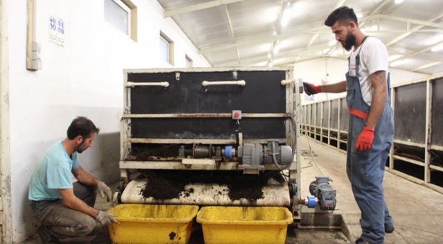150 milyon solucanla, yılda 500 ton organik gübre üretiyor