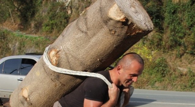 203 kilogramlık kütüğü sırtında taşıdı 203 kilogramlık kütüğü sırtında taşıdı