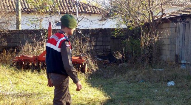 Ağaçtan düşerek öldü