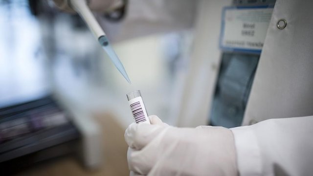 Alzheimer'ı tedavi eden molekül bulundu Alzheimer'ı tedavi eden molekül bulundu