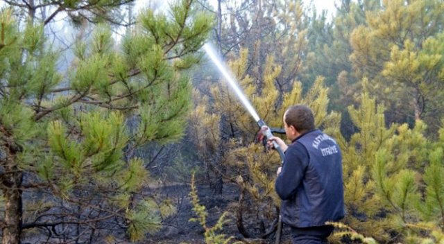 Ateşle oynayan çocuklar 5 dönüm ormanlık alanı yaktı