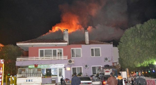 Ayvalık&#039;ta yangın paniği