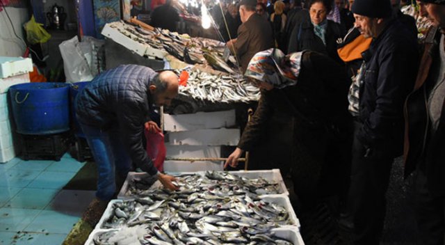 Çinekop bereketi palamudu geçti Çinekop bereketi palamudu geçti