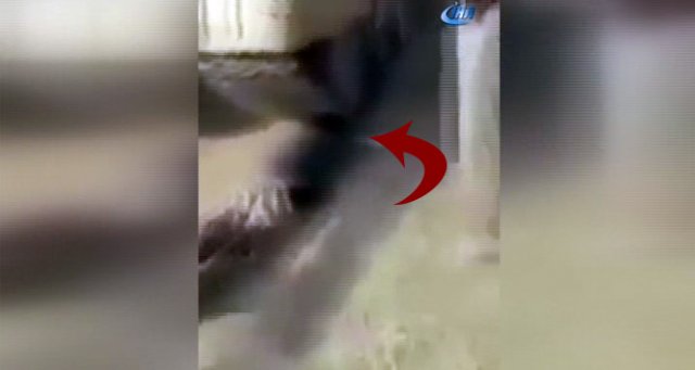 Haşdi Şabi çocuğa işkence ederek tankla ezdi