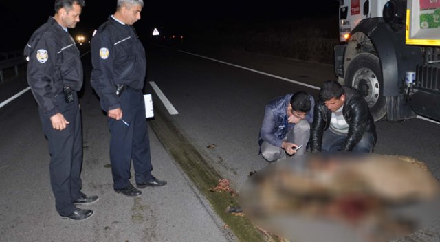 İslahiye'de kazada 3 kişi yaralandı, 20 hayvan telef oldu! İslahiye'de kazada 3 kişi yaralandı, 20 hayvan telef oldu!