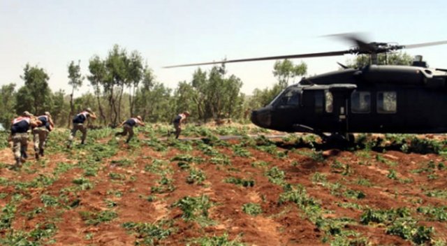 Lice'de 110 asker ile uyuşturucu operasyonu