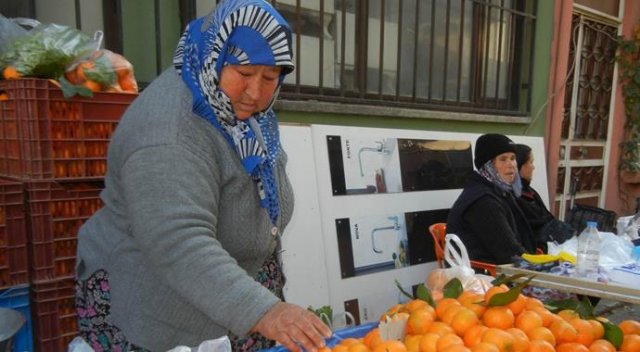 Mandalina üreticileri dert küpü