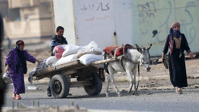 Musul'u DEAŞ'tan kurtarma operasyonu 30. gününde Musul'u DEAŞ'tan kurtarma operasyonu 30. gününde