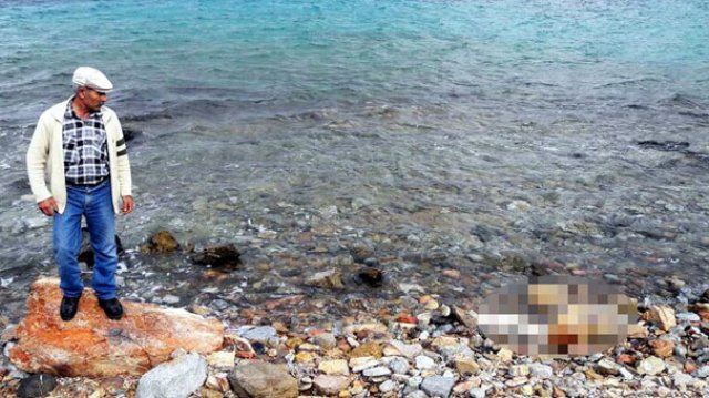 Şenlik için gittikleri Karaada'da erkek cesedi buldular Şenlik için gittikleri Karaada'da erkek cesedi buldular