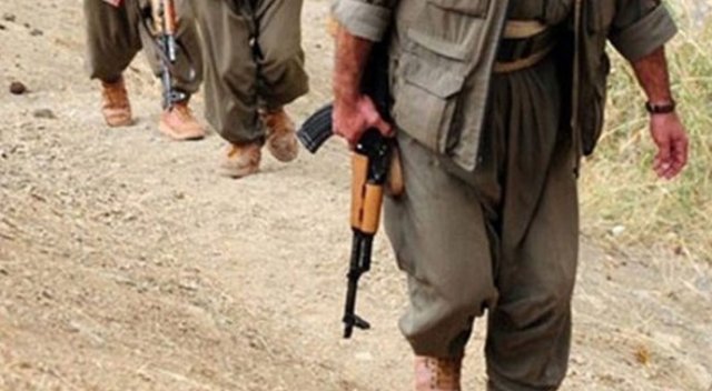 Şırnak'ta 7 terörist öldürüldü