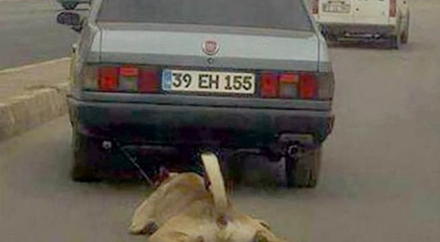 Sosyal medya ayağa kalkmıştı! O araç sürücüsüne ulaşıldı