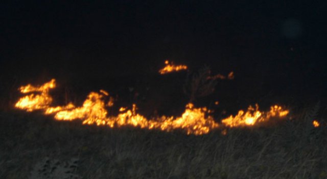 Tekirdağ'da korkutan yangın
