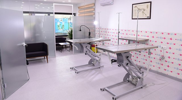 Üsküdar'da hayvanlara ücretsiz klinik Üsküdar'da hayvanlara ücretsiz klinik