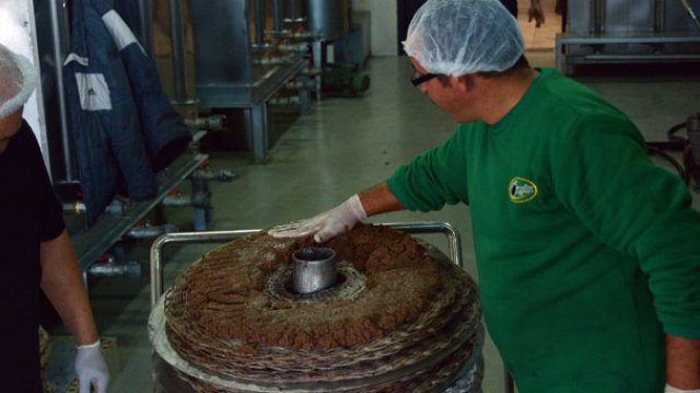 Yeni sezon 'zeytin sütü' raflarda Yeni sezon 'zeytin sütü' raflarda