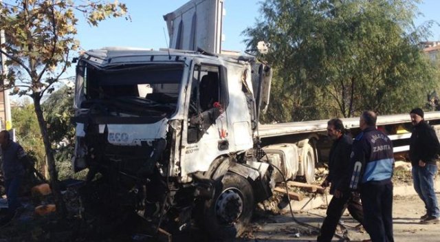 Yoldan çıkan TIR ağaçları devirerek durabildi Yoldan çıkan TIR ağaçları devirerek durabildi