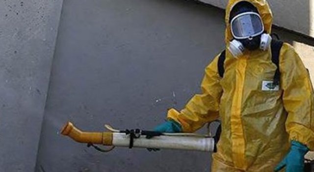 Zika virüsü artık dünyayı tehdit etmiyor Zika virüsü artık dünyayı tehdit etmiyor