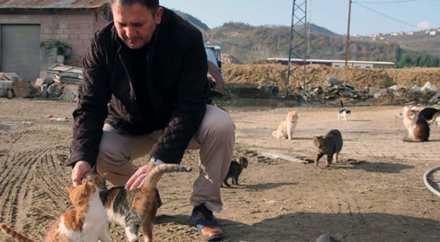 'Burası hayvan barınağı değil sevgi yuvası'