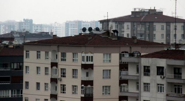 14 katlı binada korkunç görüntü!