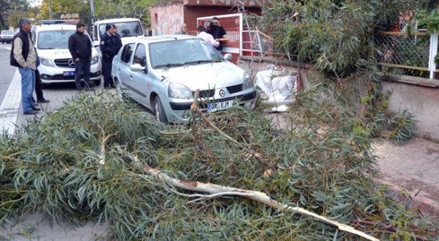 Adana&#039;da şiddetli rüzgar hayatı olumsuz etkiledi