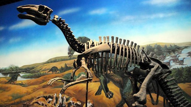 Bilim adamları diş döken dinozor türü keşfetti Bilim adamları diş döken dinozor türü keşfetti