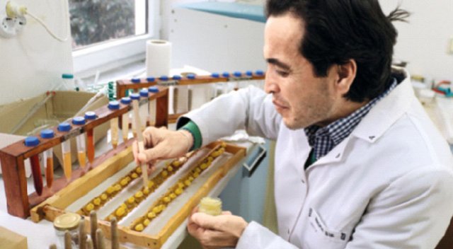 Bu sütün kilosu 20 bin lira