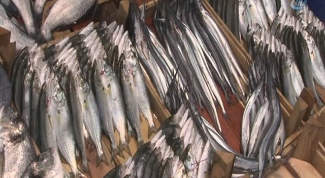 Hamsi son 20 yılın en yüksek fiyatına ulaştı