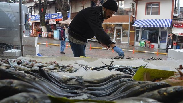 Hamsi yüzde yüz zamlandı Hamsi yüzde yüz zamlandı