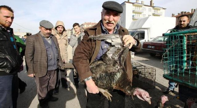 Hindiyi yemiyor ihraç ediyoruz Hindiyi yemiyor ihraç ediyoruz