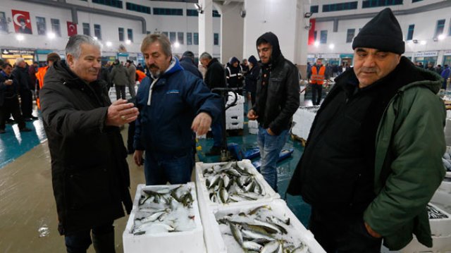 İzmir'den komşuya balık ihracatı İzmir'den komşuya balık ihracatı