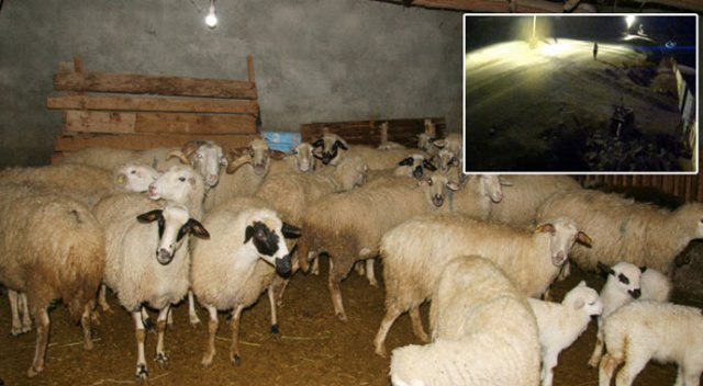Kadın kılığına giren hırsızlar güvenlik kamerasında Kadın kılığına giren hırsızlar güvenlik kamerasında