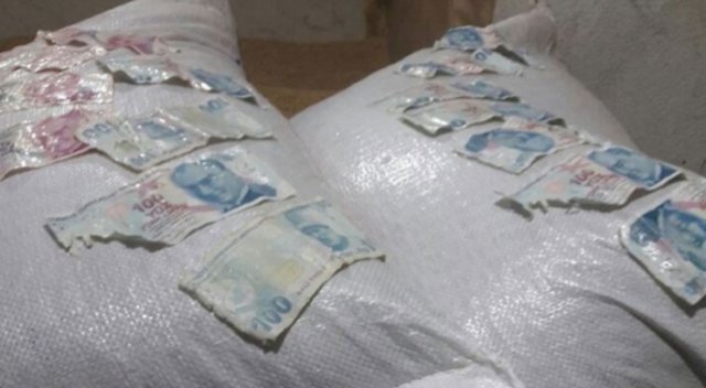 Kestiği dananın midesinden 1900 lira çıktı Kestiği dananın midesinden 1900 lira çıktı