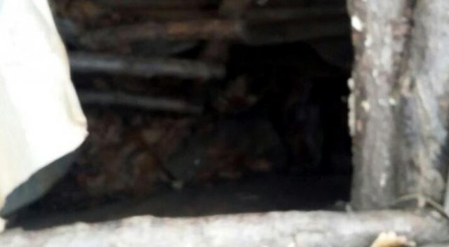 Kulp&#039;ta PKK&#039;nın 5 odalı sığınağı bulundu