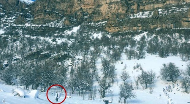 Şırnak'ta operasyon! Çok çarpıcı görüntüler geldi...