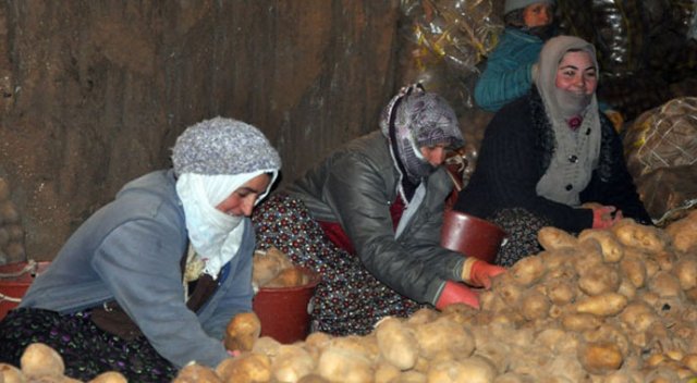 Sofranızda patatese yer açın Sofranızda patatese yer açın