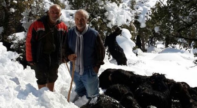 Yaylada mahsur kalan çoban 6 gün sonra kurtarıldı