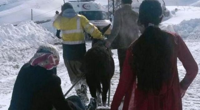Ambulansa kadar &quot;Eşekli kızak&quot; ile taşındı