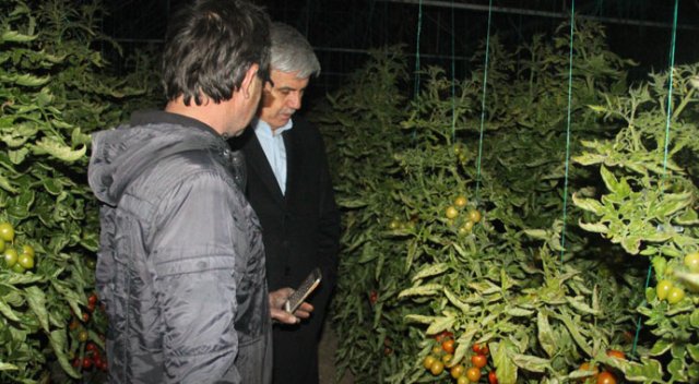 Başkan Çalık çiftçilerle seralarda don nöbeti tuttu Başkan Çalık çiftçilerle seralarda don nöbeti tuttu