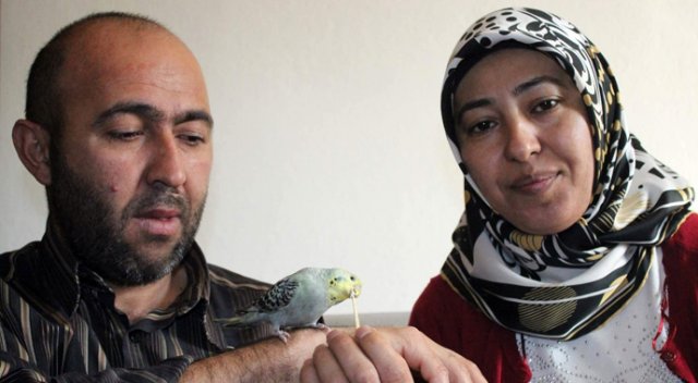 Böyle muhabbet kuşu görülmedi Böyle muhabbet kuşu görülmedi